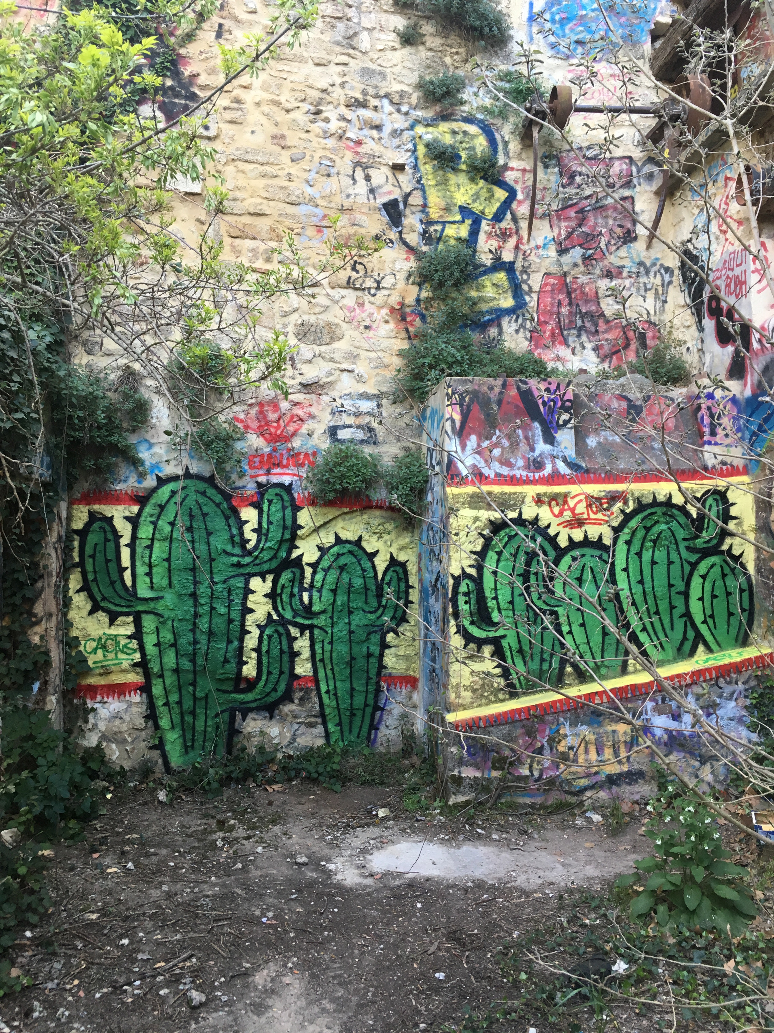 STREET CACTUS Quand la nature reprend ses droits muRum